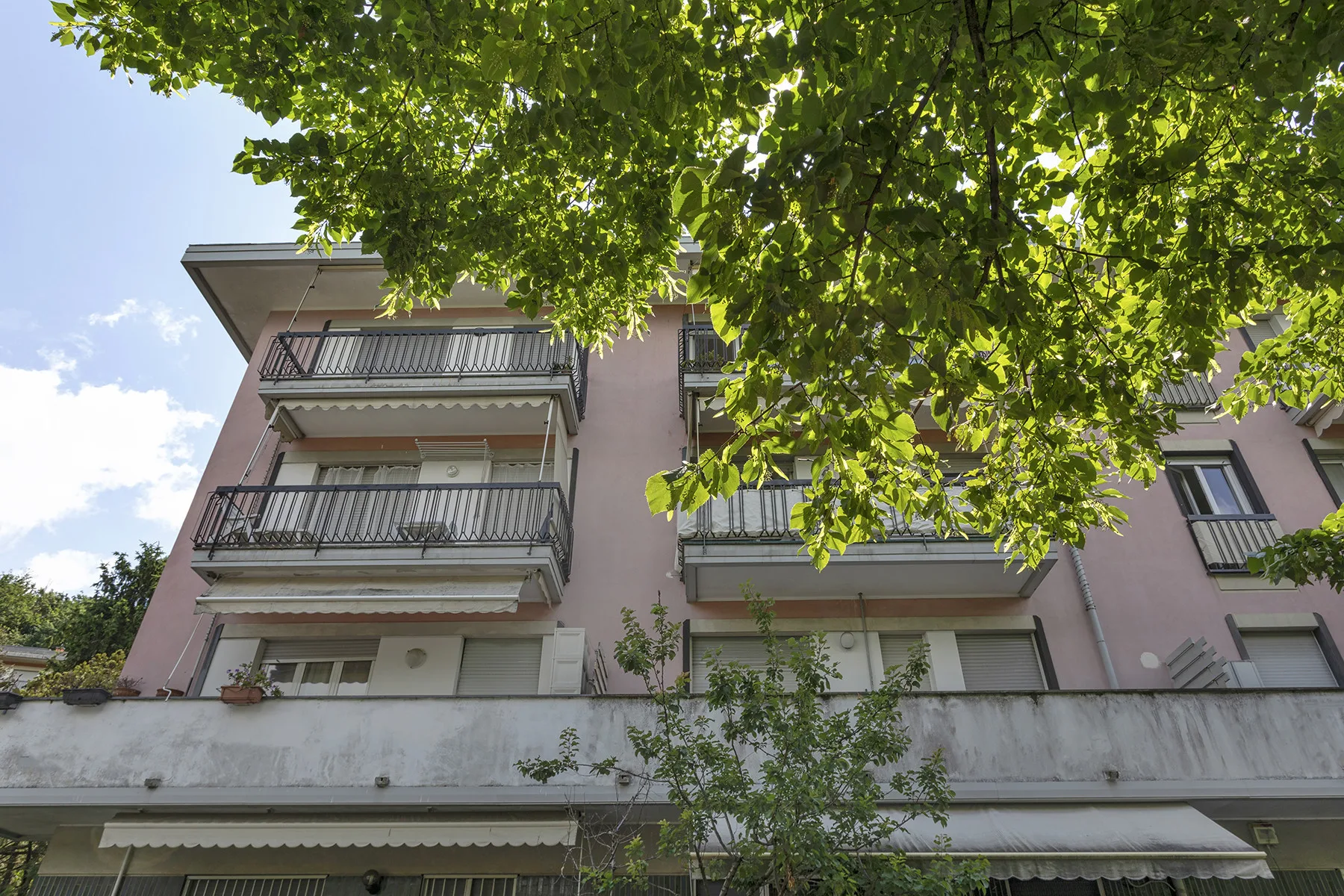 Un edificio de varias plantas con balcones está parcialmente cubierto por ramas frondosas.