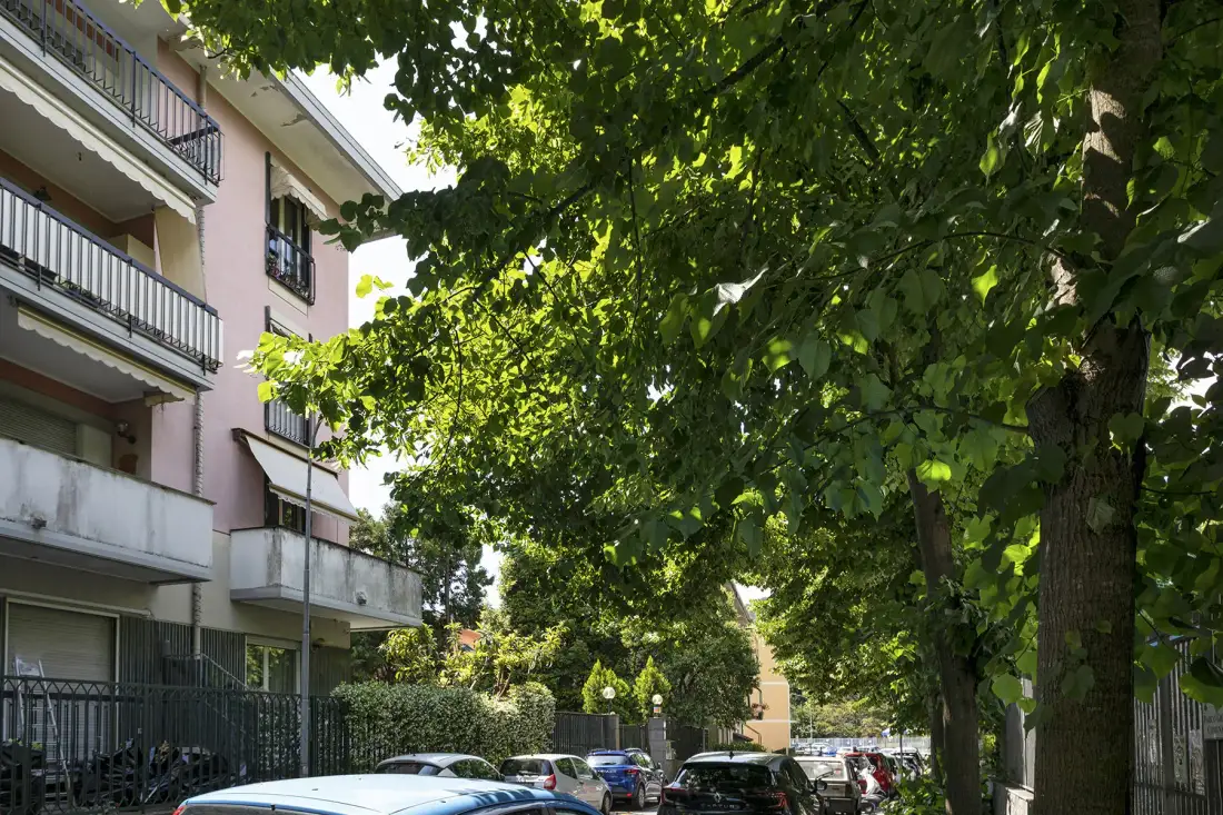 Una calle arbolada con coches estacionados junto a un edificio de apartamentos.