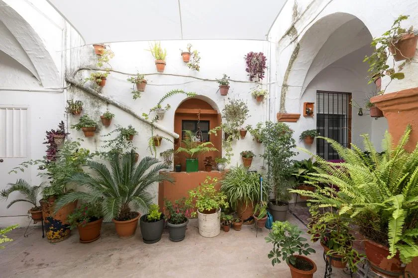 A white courtyard filled with potted plants and leafy greenery.