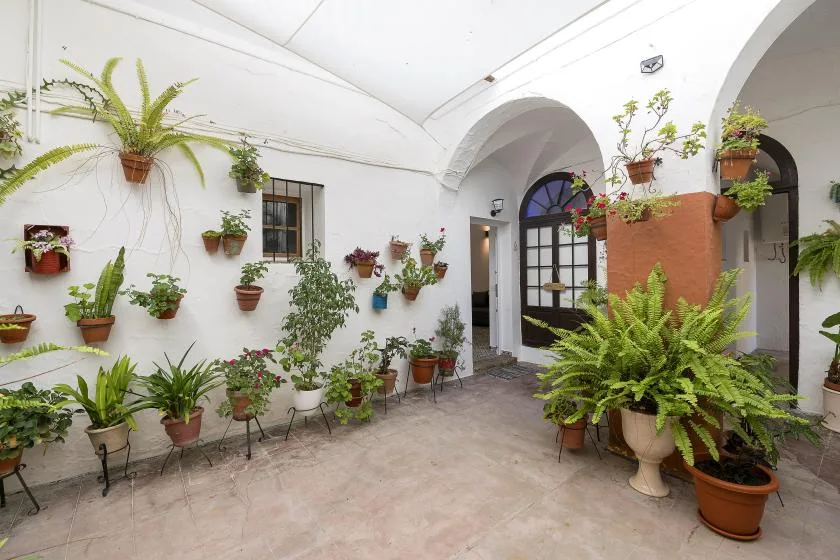 A bright courtyard with potted plants arranged along white walls beneath arched openings.
