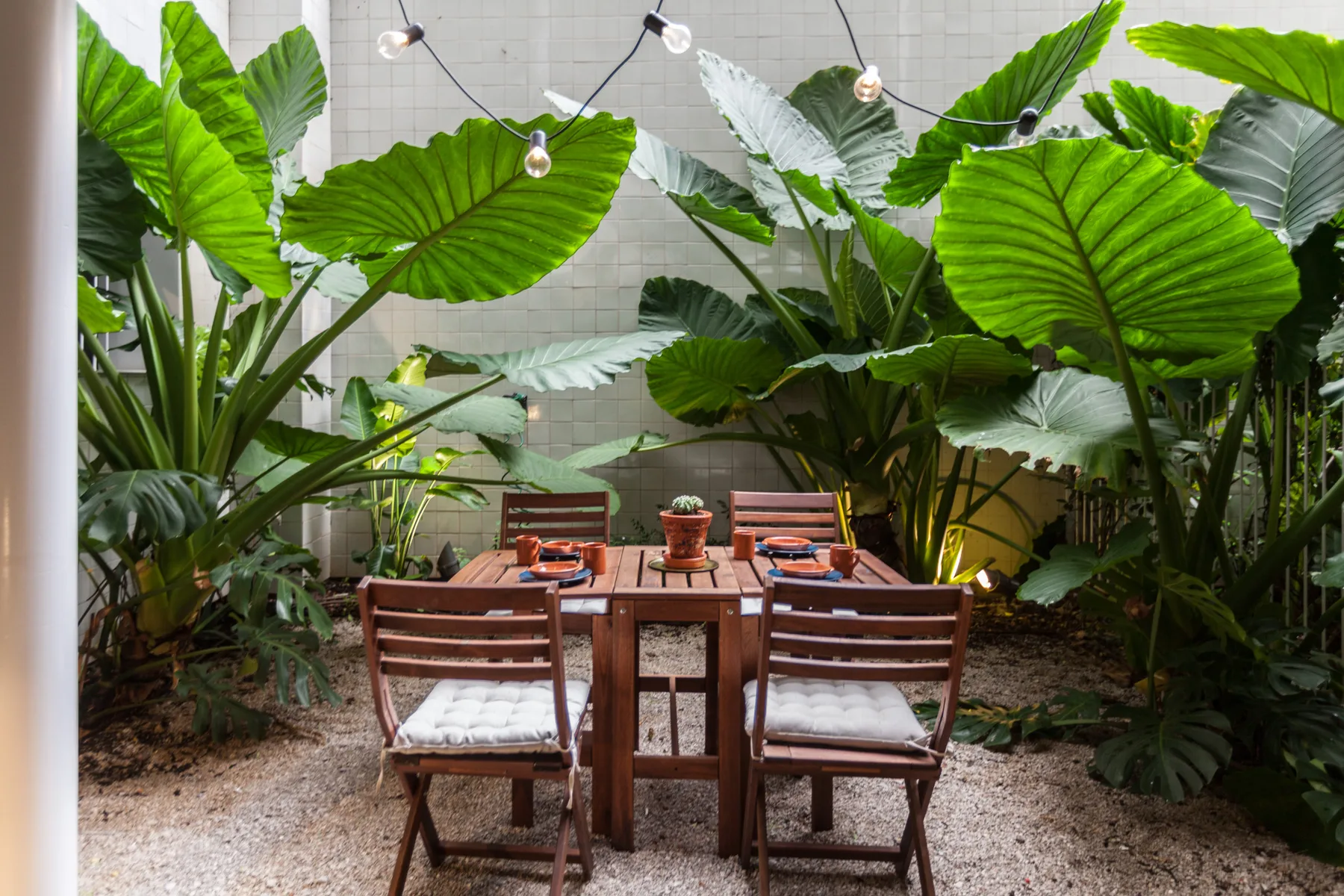 Un patio con una mesa de madera y asientos, rodeado de grandes plantas frondosas.