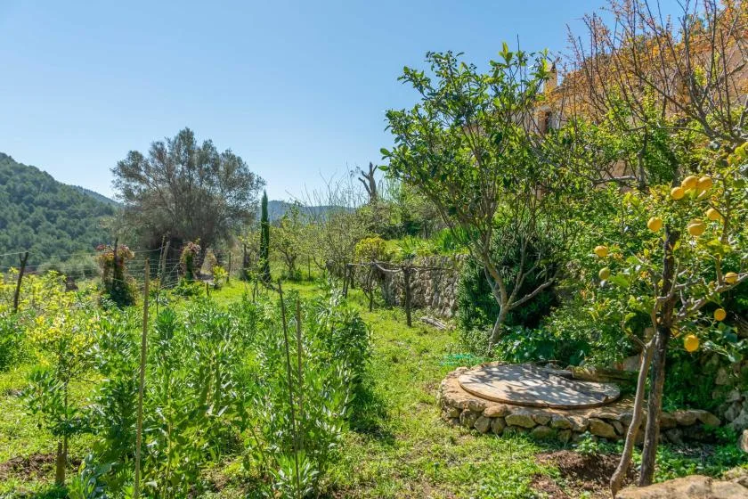 Un jardín frondoso con árboles frutales y una pequeña plataforma circular de piedra.