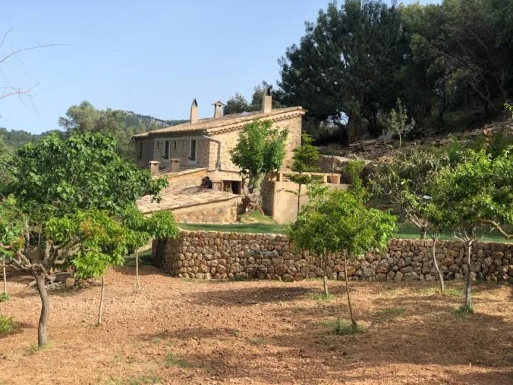 A stone house sits among trees and low stone walls in a dry garden.