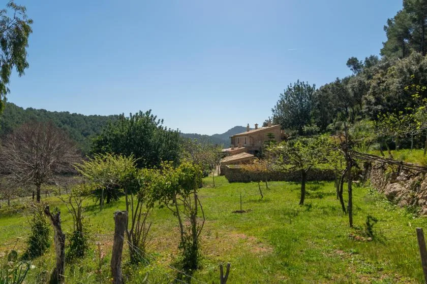 Un jardín con césped, árboles y una casa al fondo.