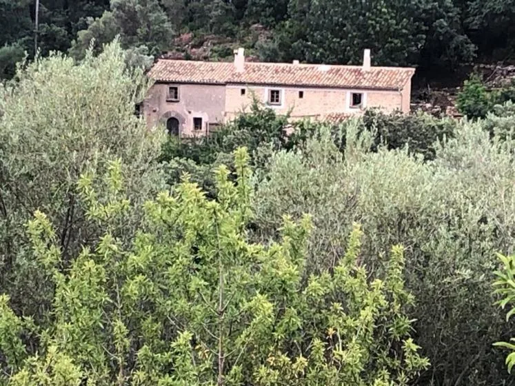 Una casa de piedra con techo de tejas se alza detrás de una vegetación densa.