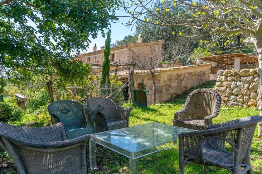 Zona de estar en un jardín con sillas trenzadas y una mesa de vidrio bajo árboles frondosos.