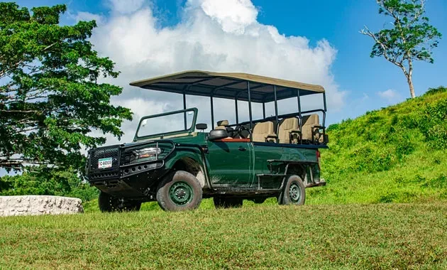 Vehículo eléctrico de safari abierto en la propiedad