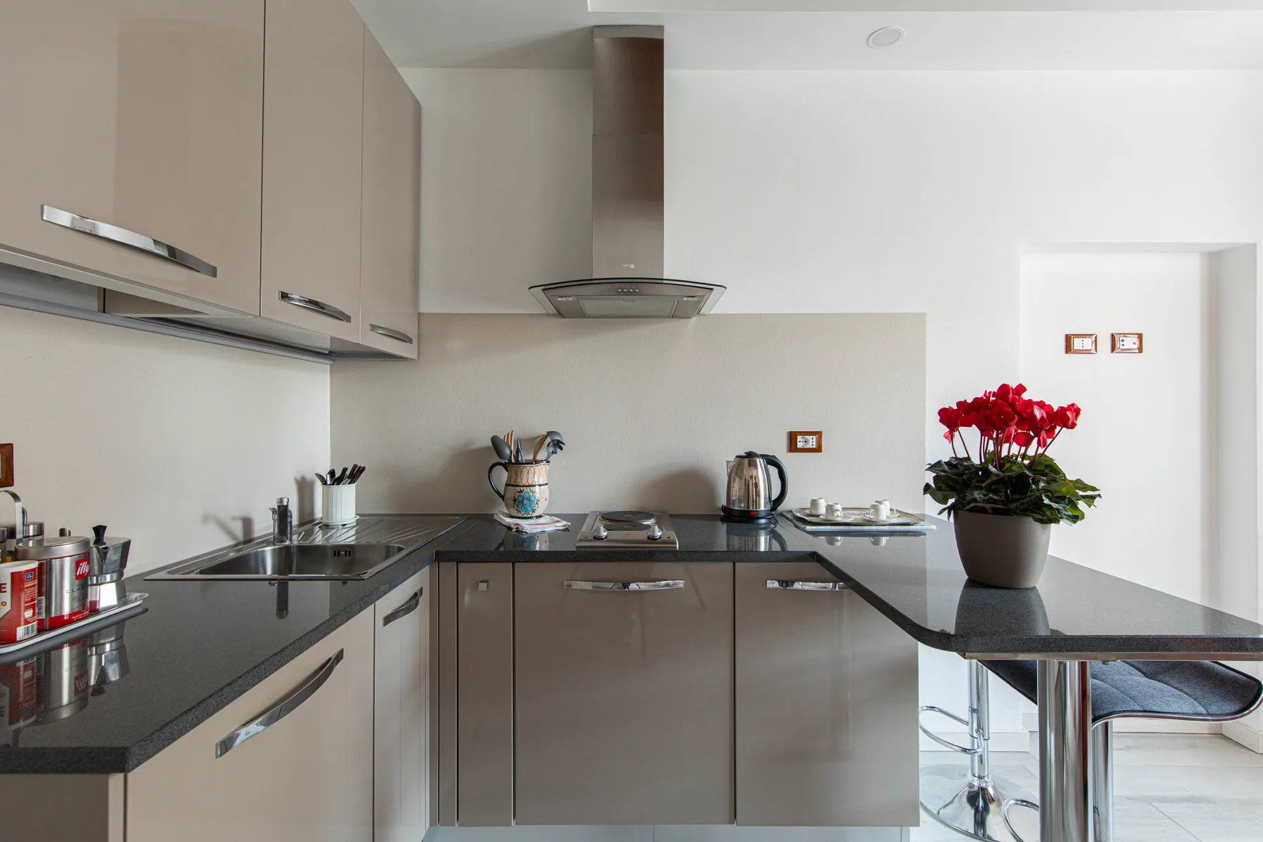 Una cocina moderna con encimeras oscuras, armarios y una planta en maceta sobre la isla.