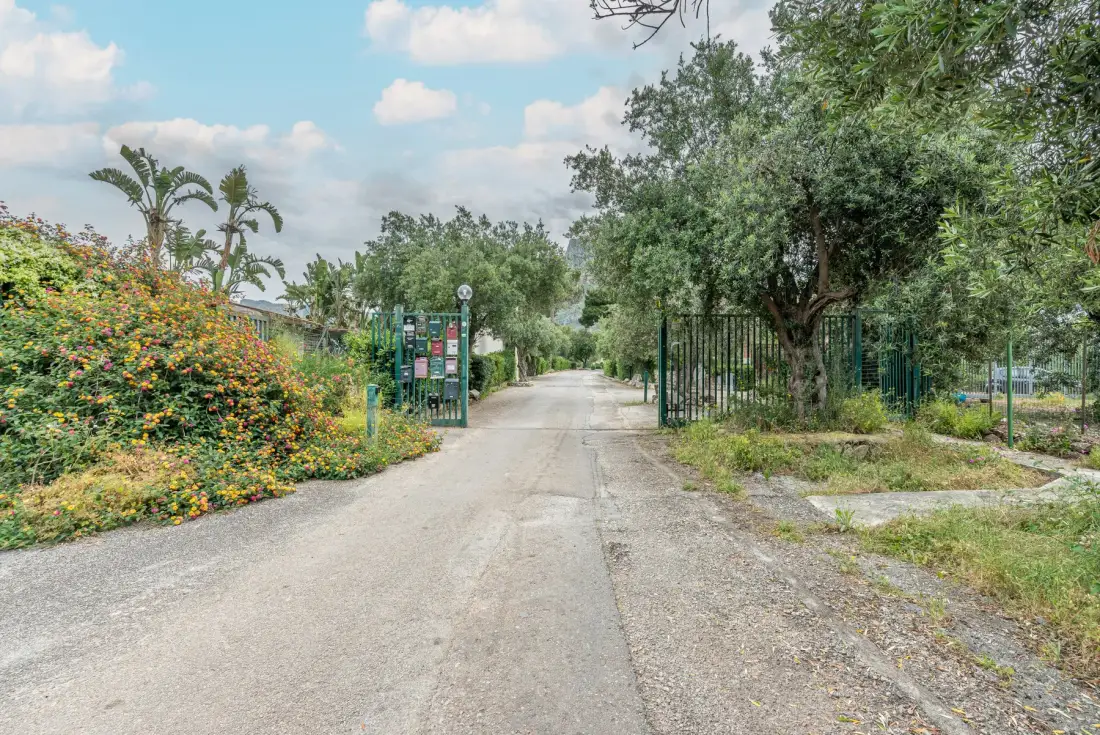 A paved road runs past a leafy entrance lined with flowering bushes.