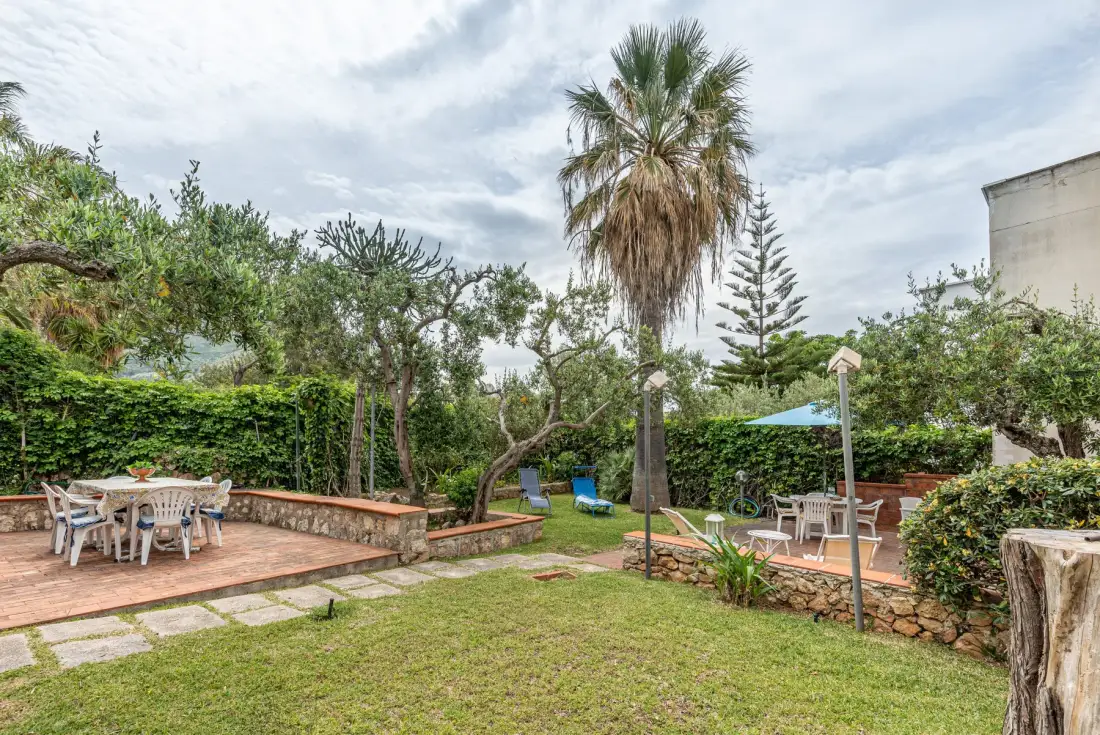 A landscaped garden with outdoor seating areas, shrubs, and a tall palm tree.