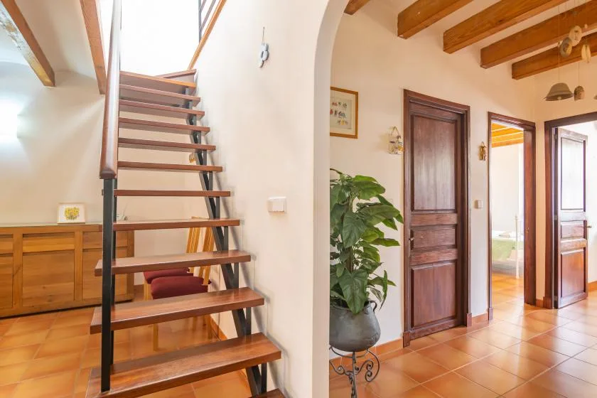 An interior hallway with a staircase, wooden doors, and a potted plant.