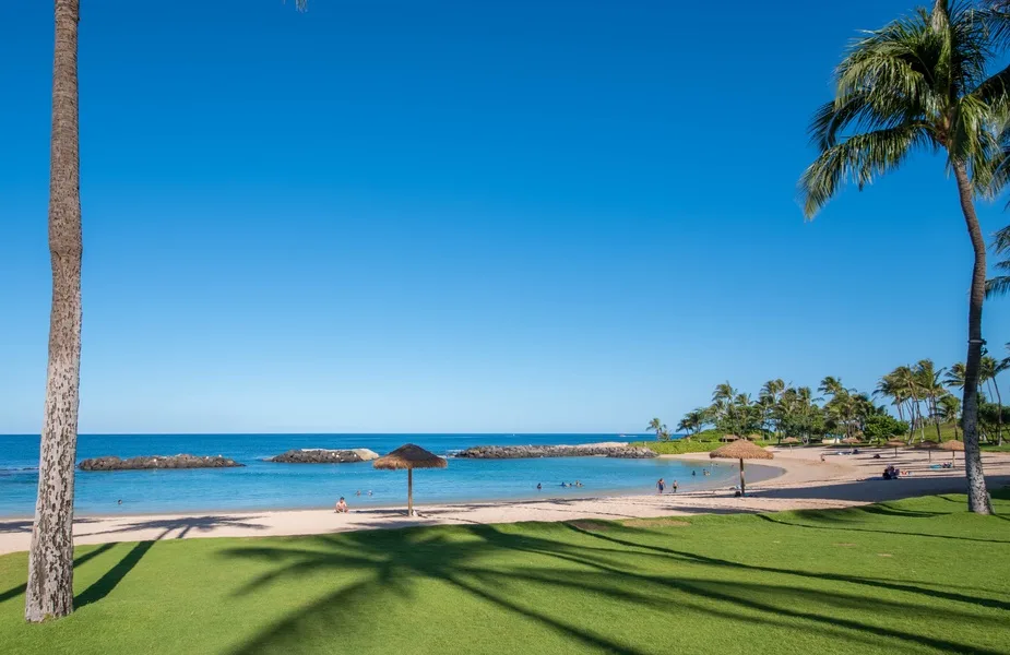 Una playa tropical y aguas azules tranquilas se ven más allá de un césped verde.