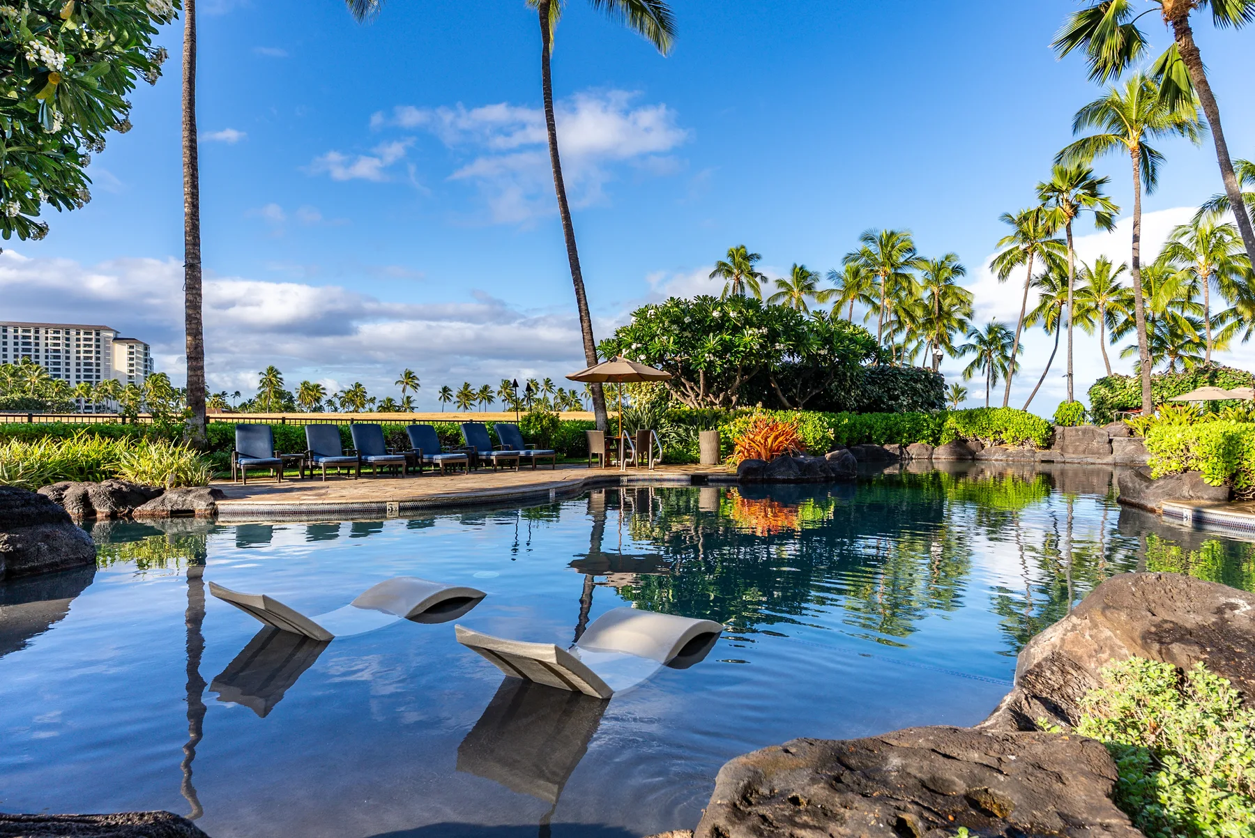 Una piscina tropical rodeada de palmeras y vegetación.