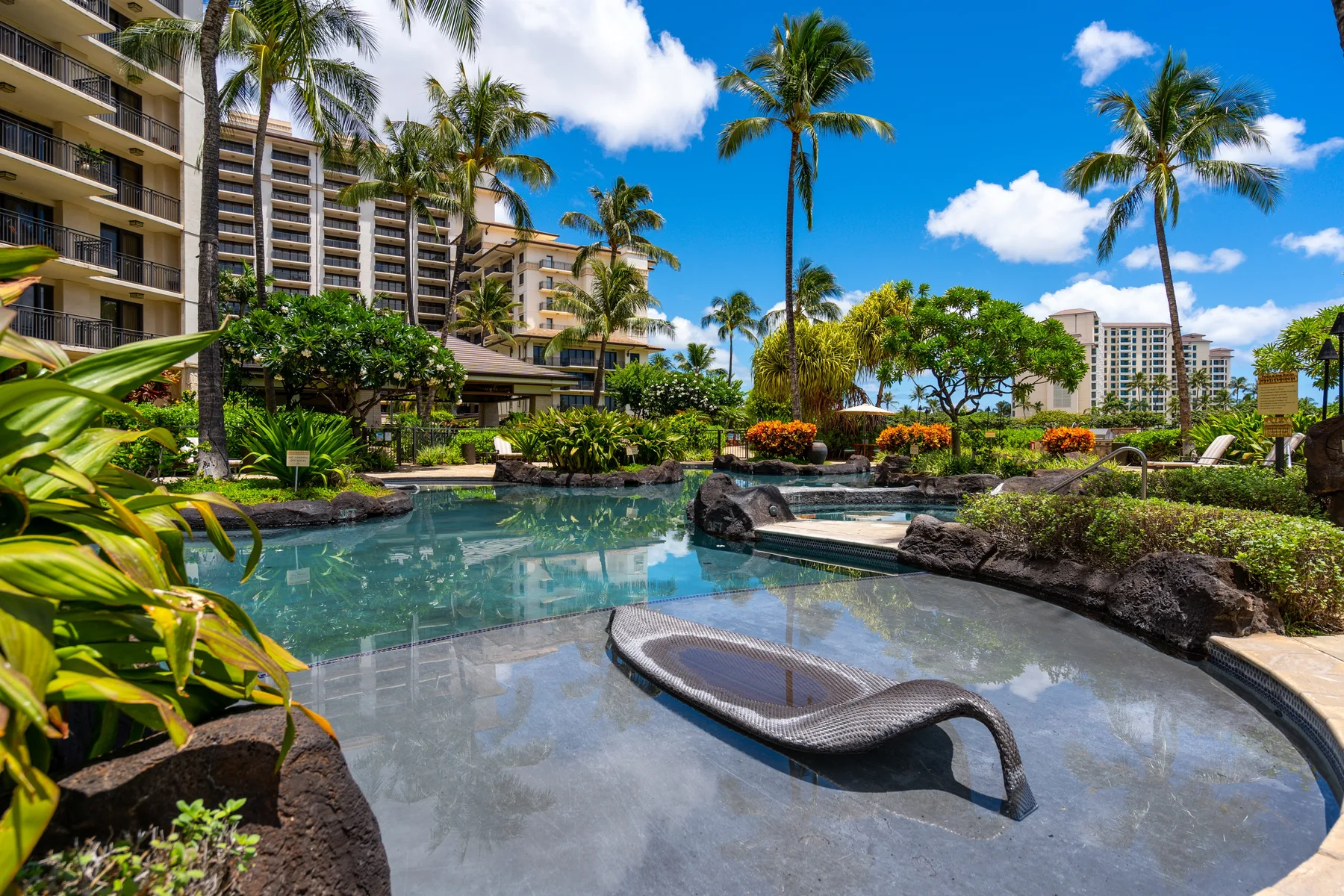 Una zona de piscina al aire libre con plantas tropicales y palmeras.