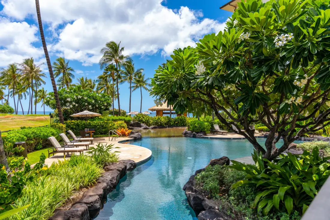 Una piscina al aire libre rodeada de vegetación tropical y asientos de descanso.