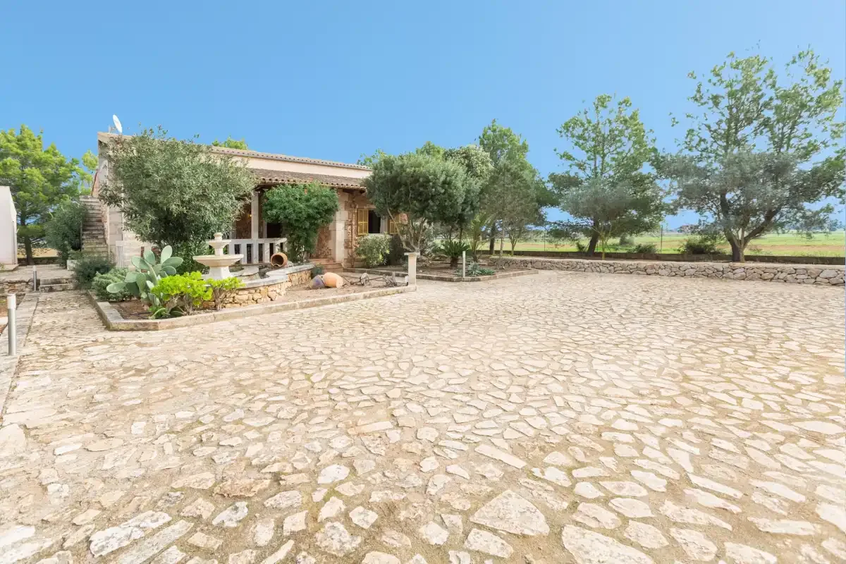 A stone-paved outdoor courtyard beside a low building and trees.