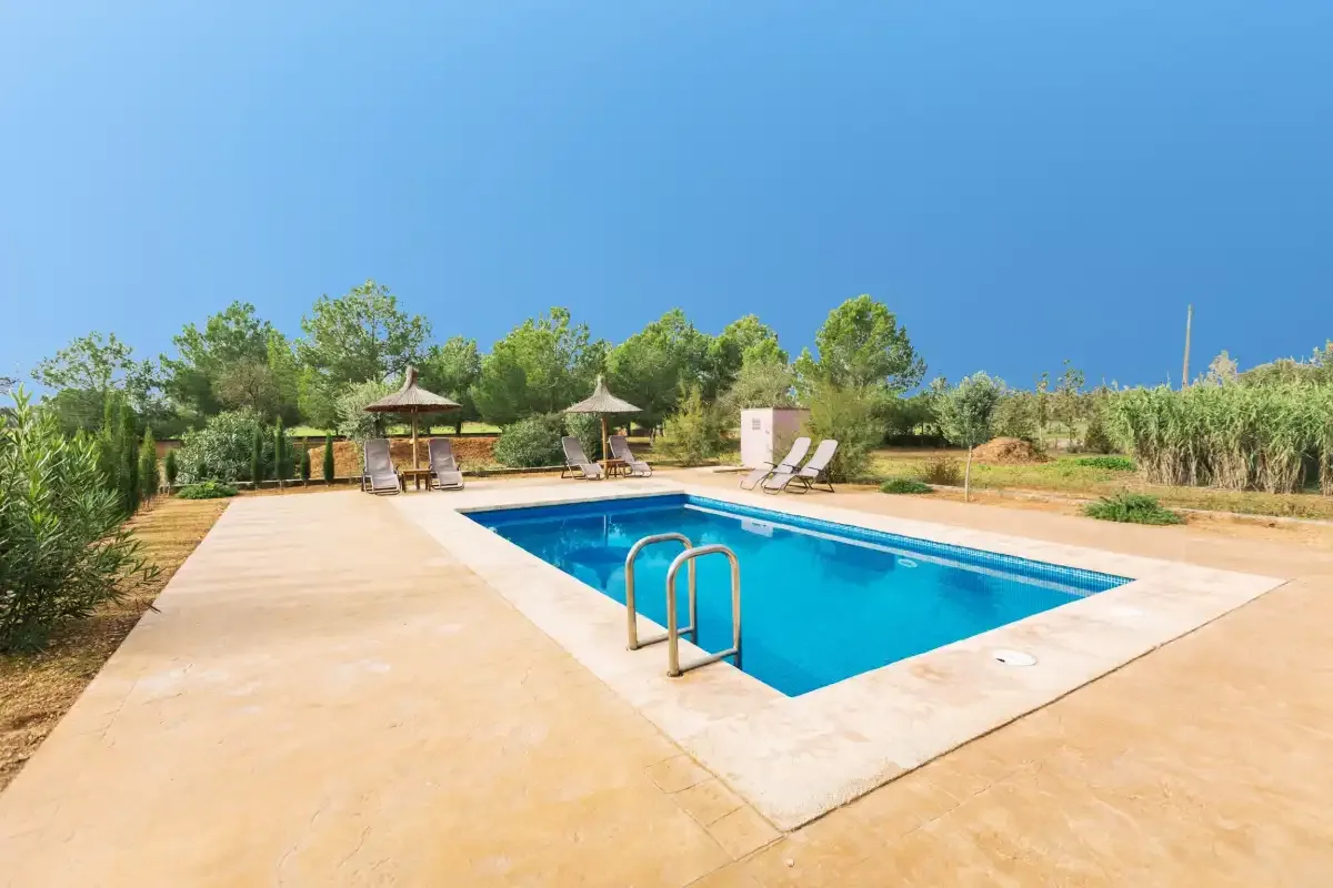 An outdoor swimming pool sits in a paved area surrounded by trees and shrubs.