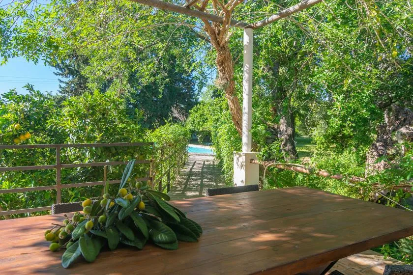 Una terraza exterior de madera a la sombra de árboles, con un sendero ajardinado al fondo.