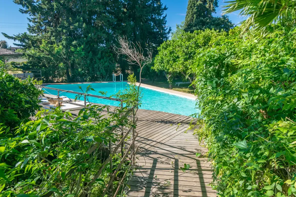 Una piscina está junto a una terraza de madera rodeada de abundante vegetación.