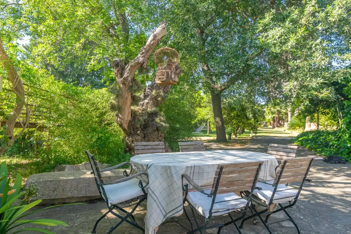 Una mesa de comedor con sillas está bajo árboles frondosos en un jardín.