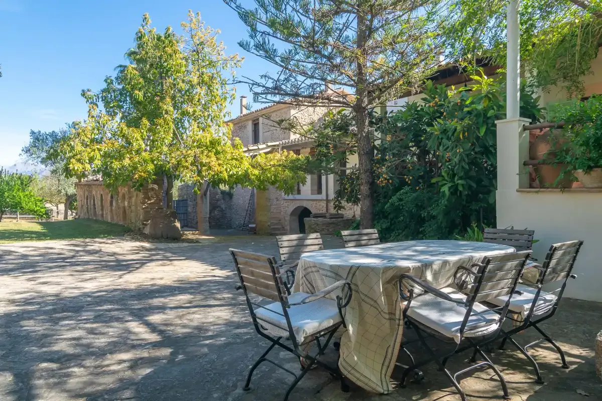 Una zona de comedor al aire libre con una mesa larga y asientos bajo los árboles.