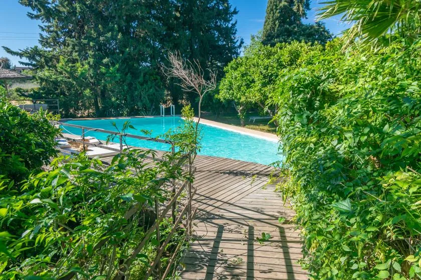 Una piscina al aire libre está rodeada de vegetación frondosa y una terraza de madera.
