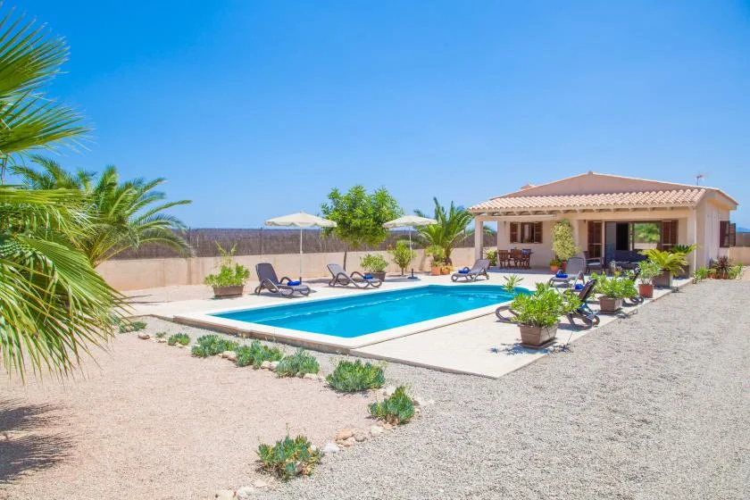 A swimming pool and lounge chairs sit beside a house in a sunny outdoor area.