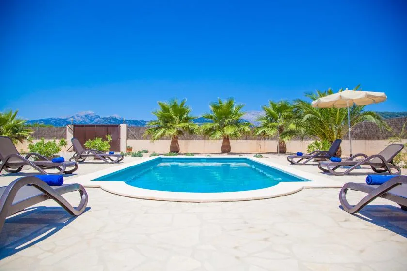 An outdoor swimming pool is surrounded by sun loungers and palm trees.