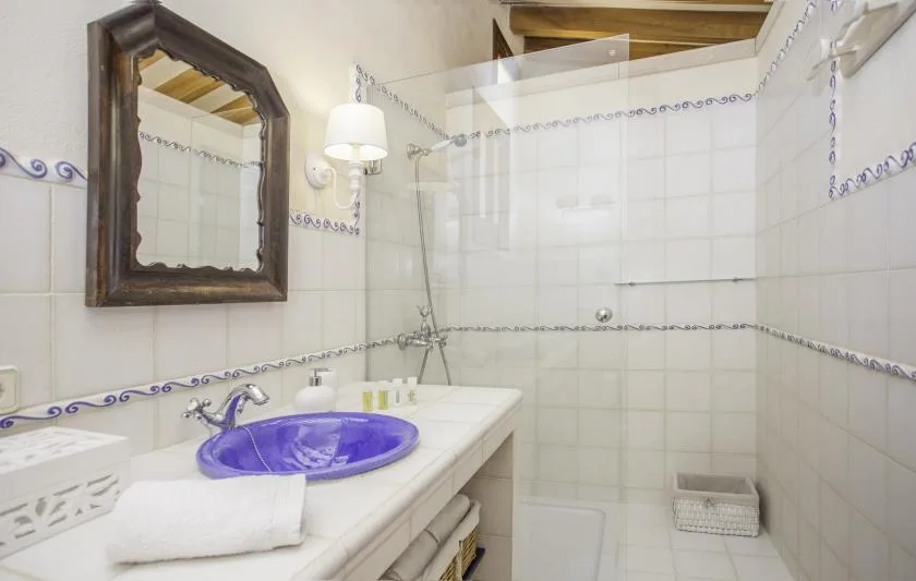 A tiled bathroom with a purple sink and a glass shower screen.