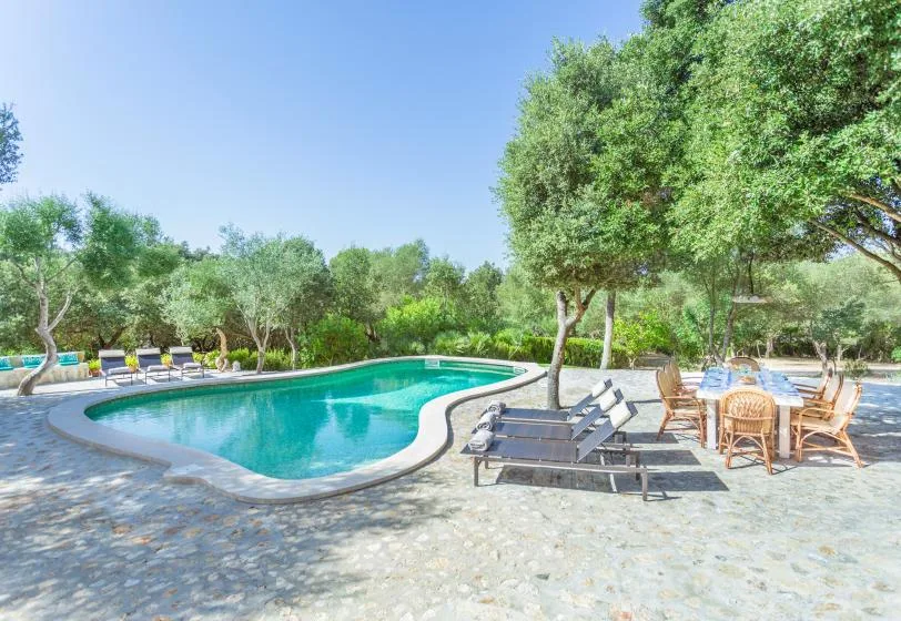 An outdoor swimming pool is surrounded by trees, loungers, and dining seating.