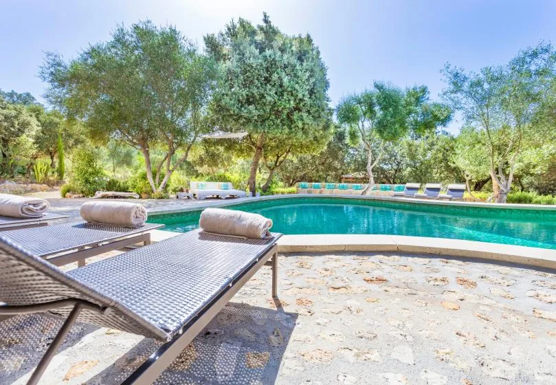 A swimming pool bordered by trees, with lounge seating on the stone patio.
