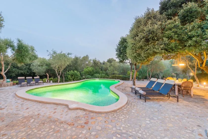 A swimming pool surrounded by stone paving, trees, and outdoor loungers.