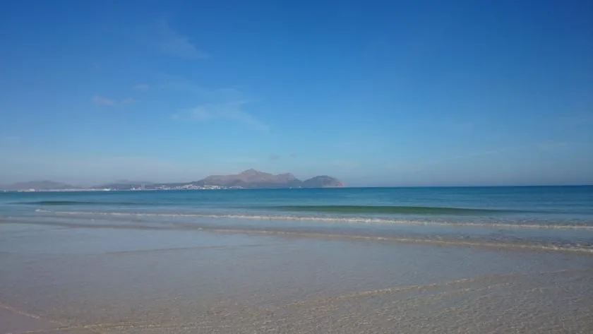 A sandy beach meets calm blue water beneath a clear sky.