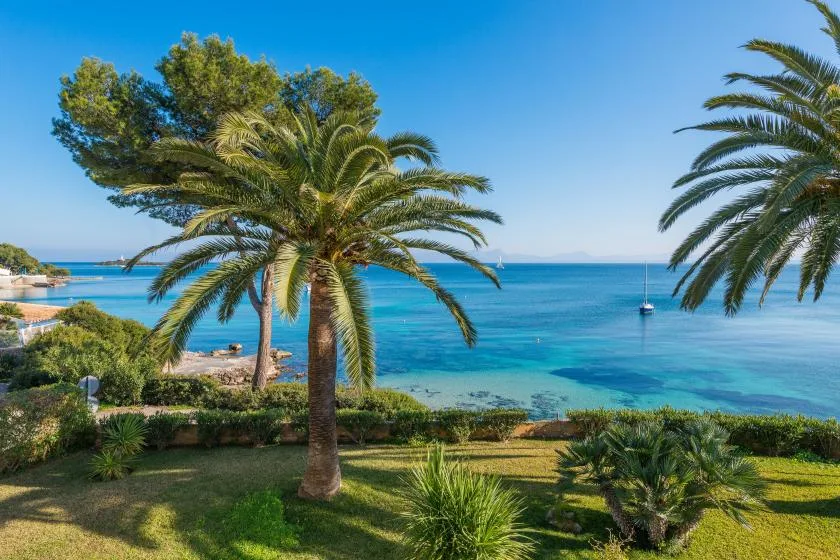 Un jardín con césped y palmeras tiene vistas al mar azul.