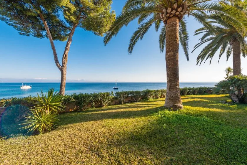 Un jardín junto al mar con césped, palmeras y barcos mar adentro.