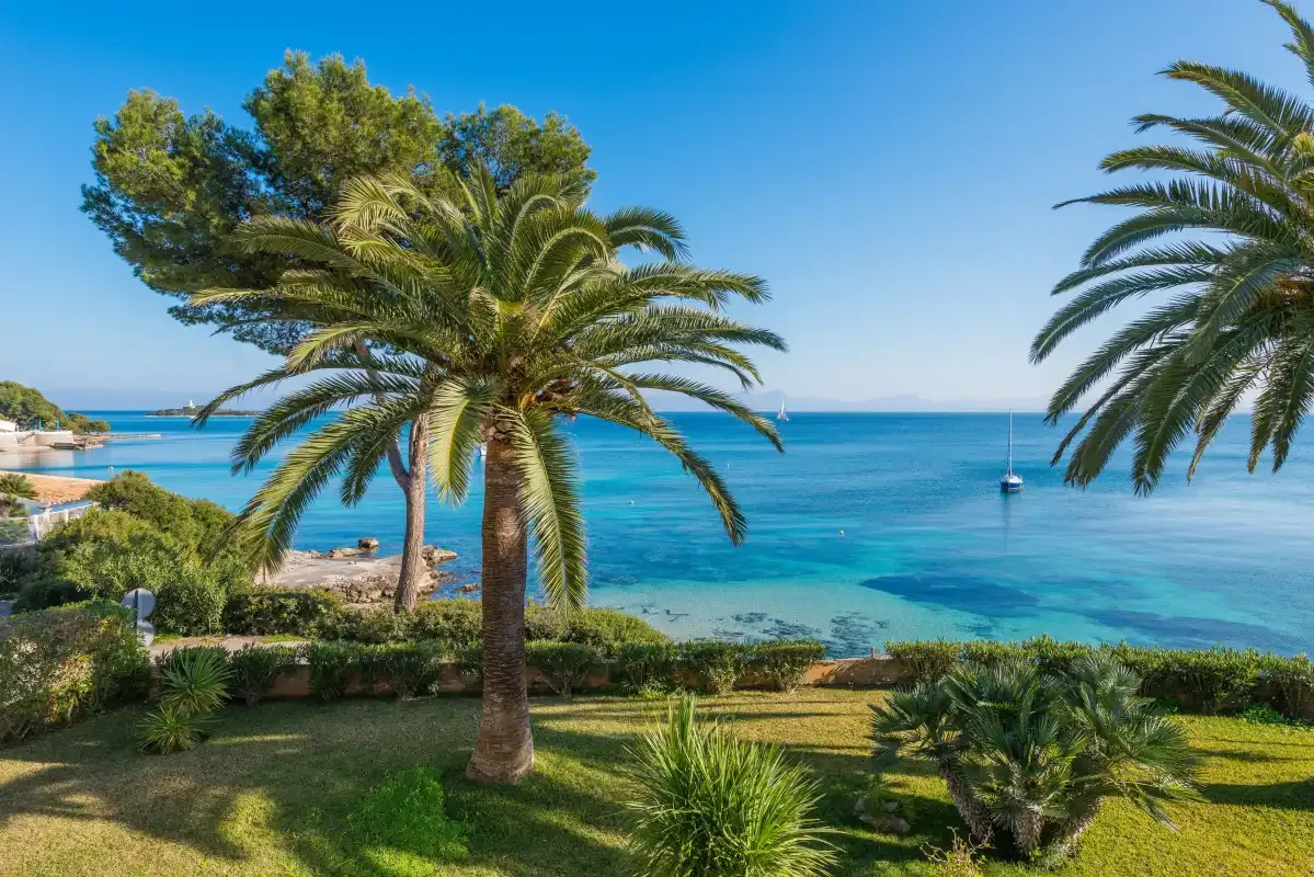 Un jardín junto al mar con palmeras frente a una bahía azul.