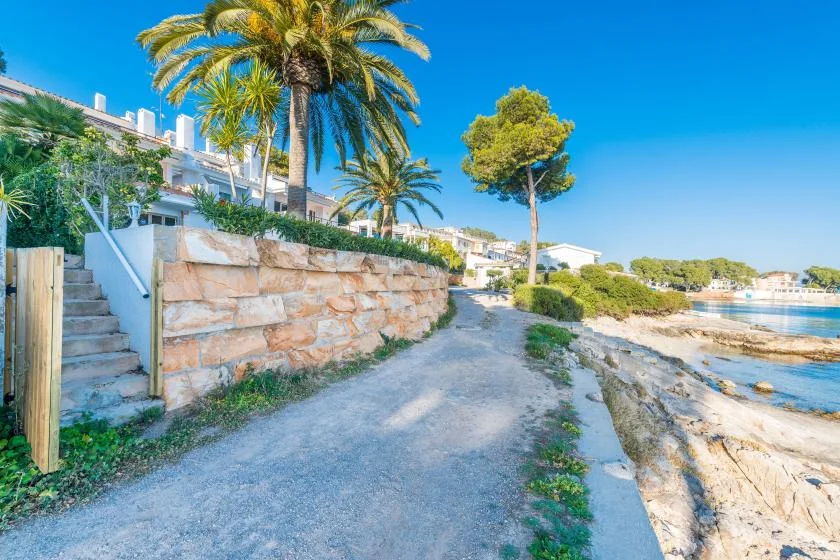 Un camino costero pavimentado pasa junto a un muro de piedra, palmeras y el mar.