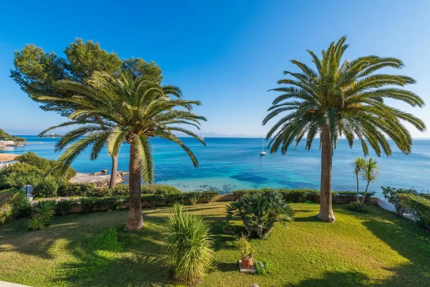 Un jardín con palmeras y césped da al mar azul.
