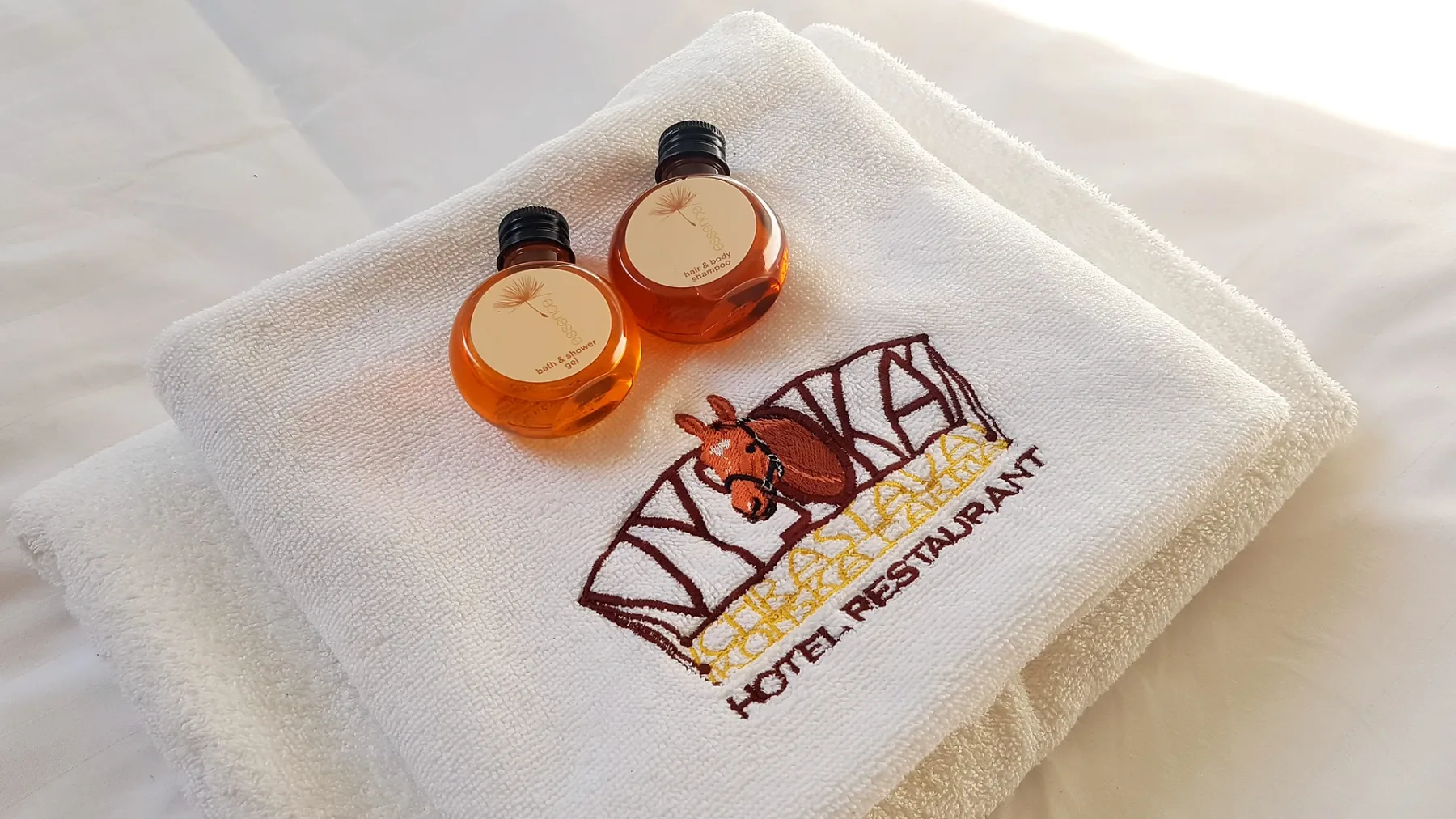 Hotel y alrededores