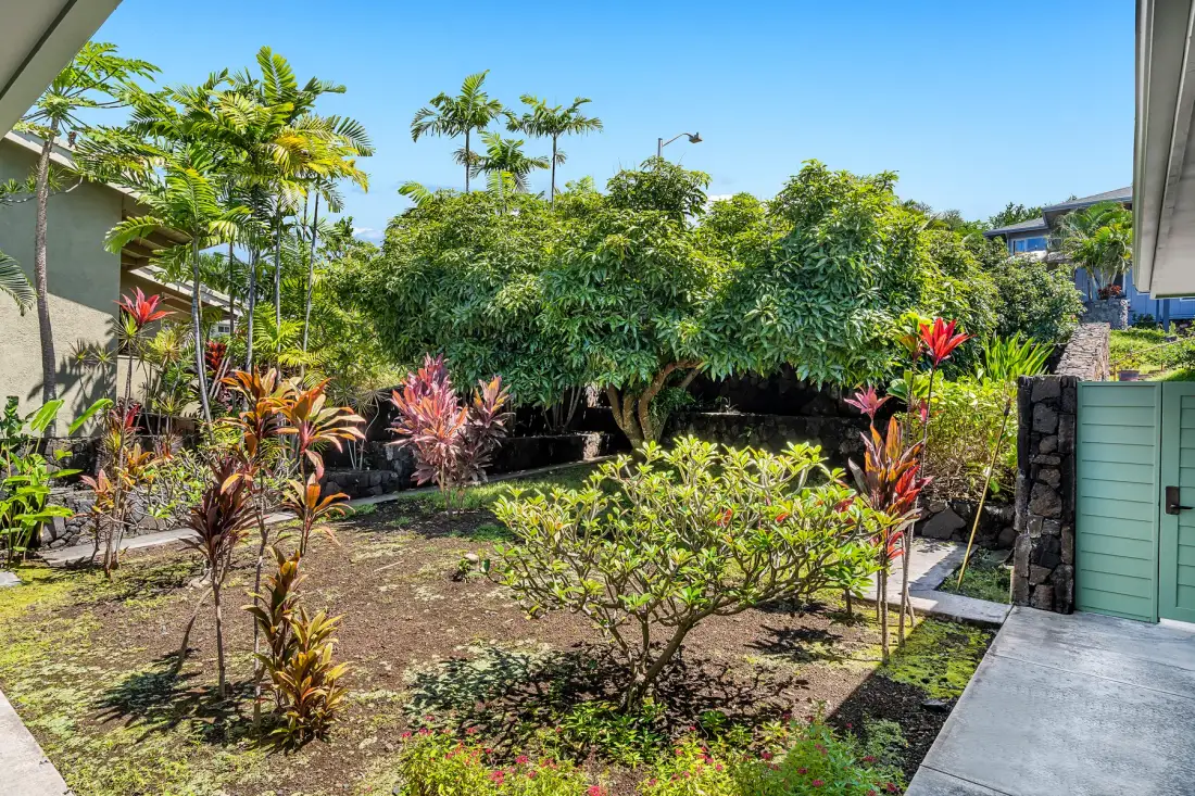 Un jardín con plantas tropicales, arbustos y un sendero pavimentado.