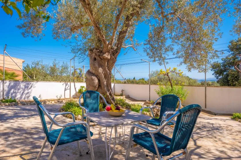 An outdoor patio seating area sits beneath a large tree, with a table and chairs.