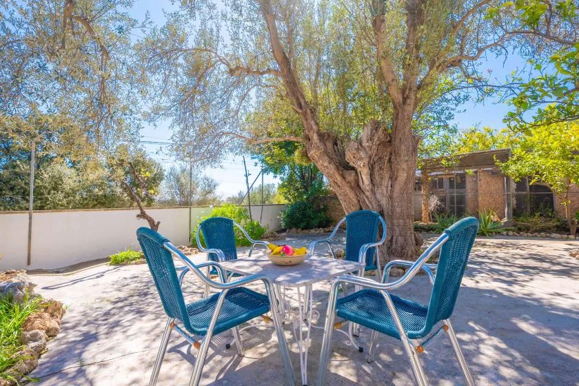 An outdoor patio with blue seating around a table beneath a leafy tree.