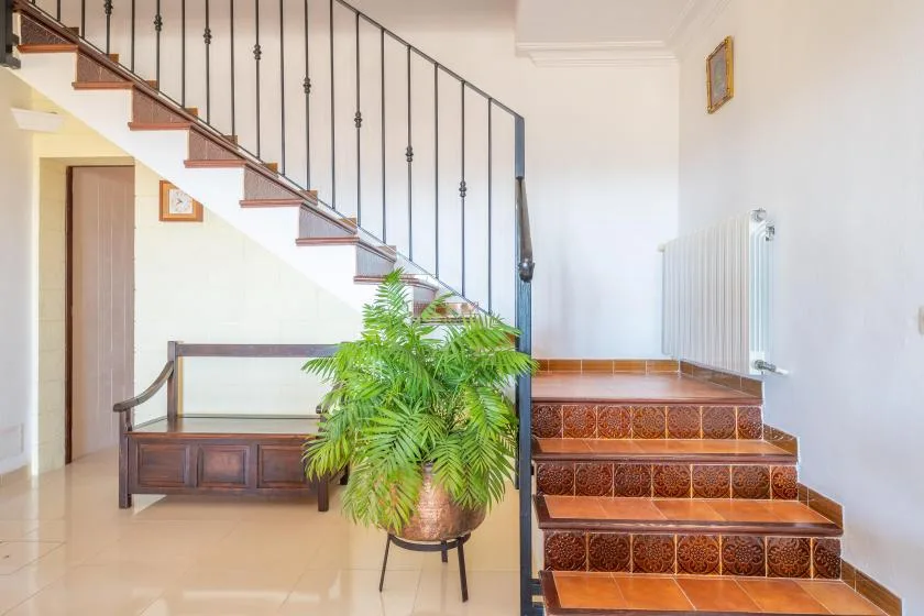 A tiled staircase with a dark railing and a potted plant in the entry hall.