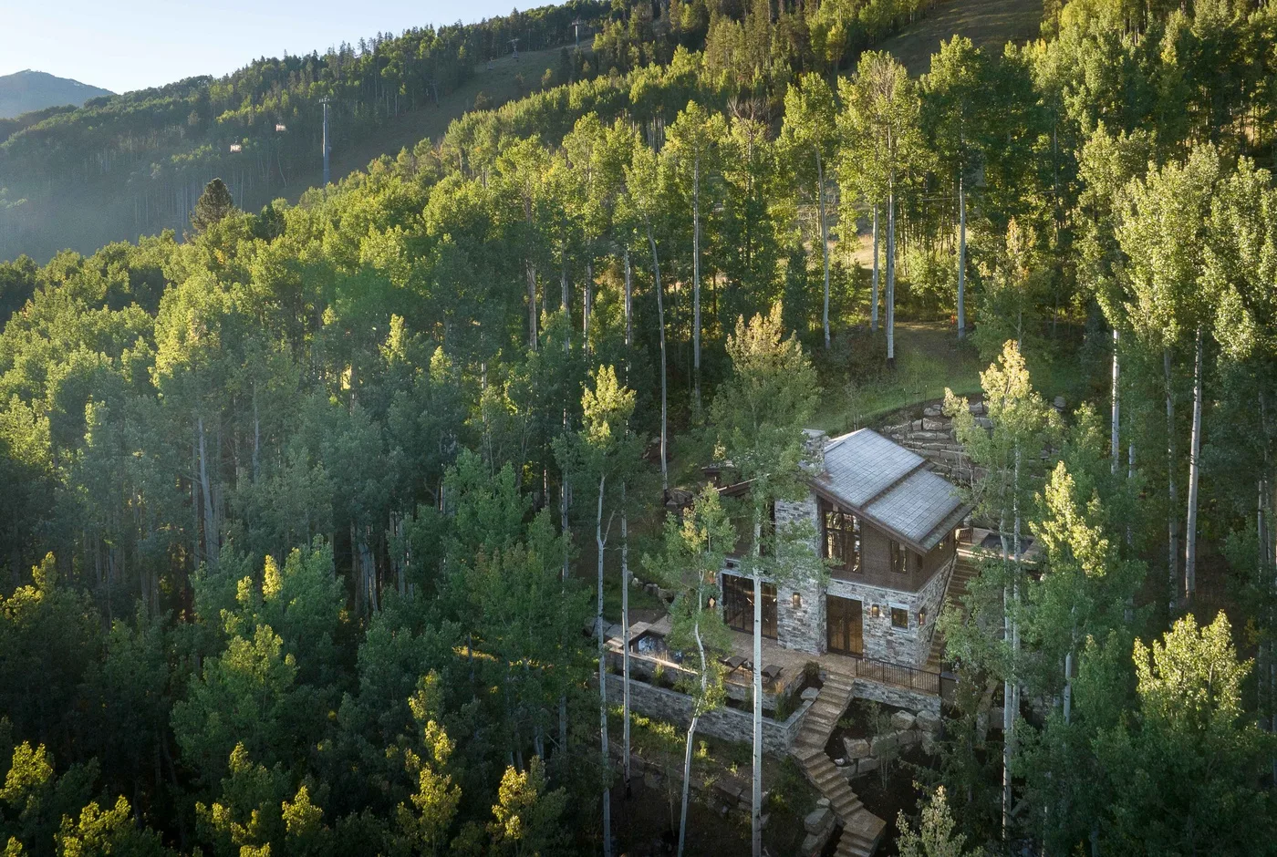 A wooden cabin sits among dense trees on a forested hillside.