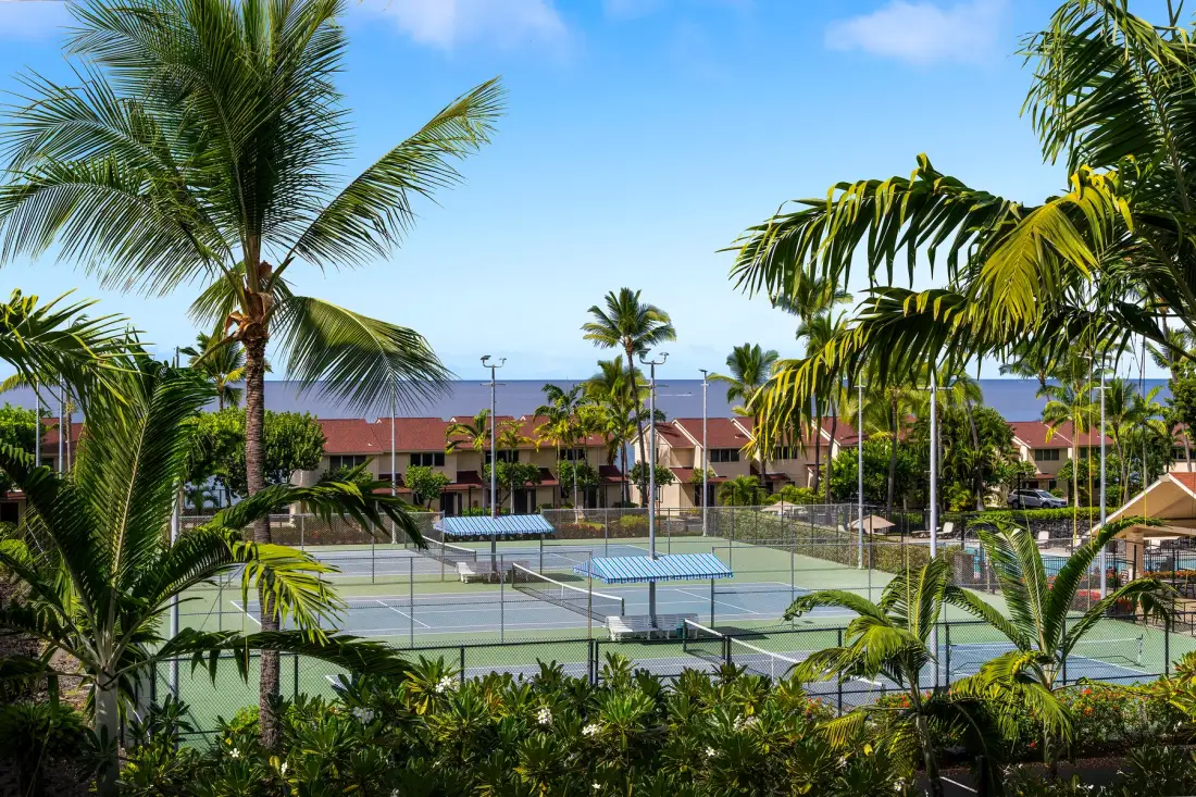 Outdoor tennis courts are surrounded by palm trees and greenery.