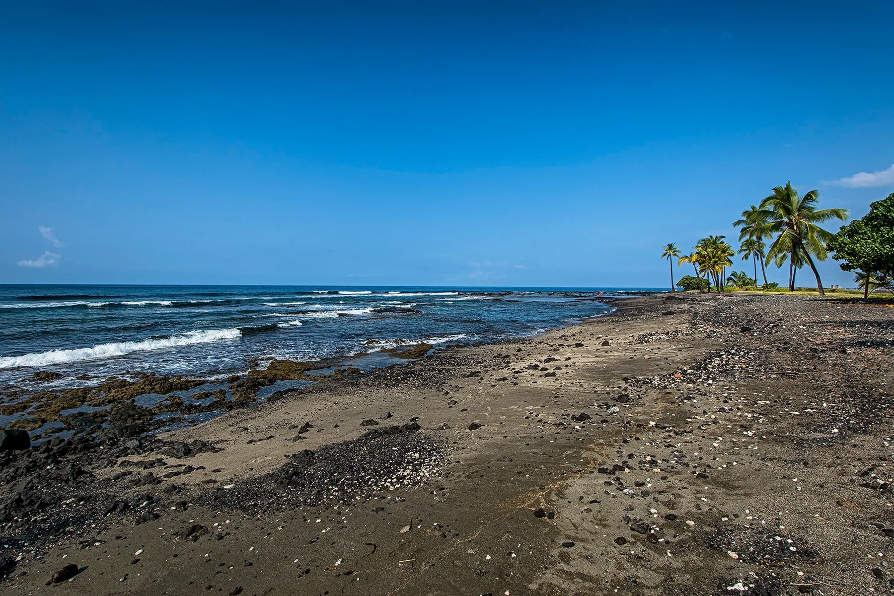 A rocky shoreline meets the ocean, with palm trees along the beach.