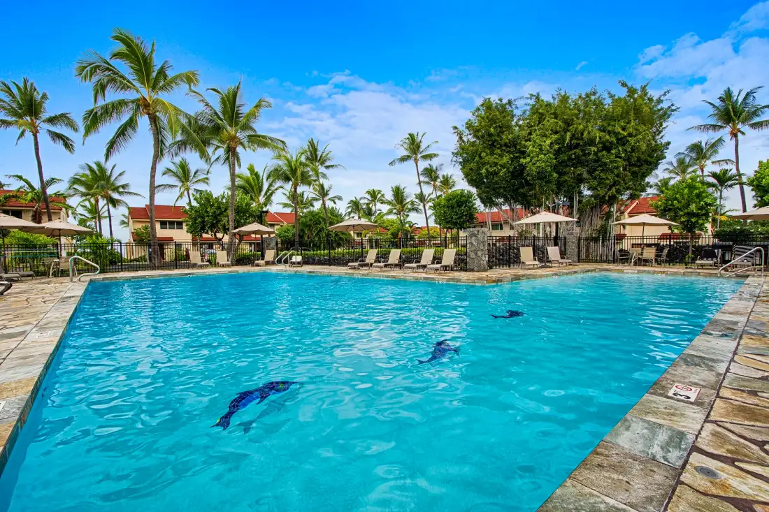 A large outdoor swimming pool is surrounded by palm trees and lounge chairs.