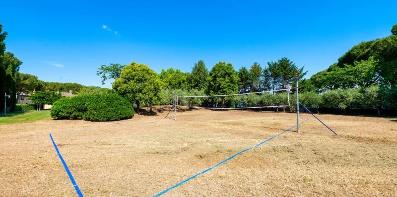 An outdoor volleyball court with a net stands in a sunny, tree-lined field.