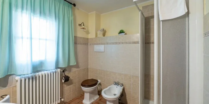 A bathroom with a shower, toilet, and sink beside a curtained window.