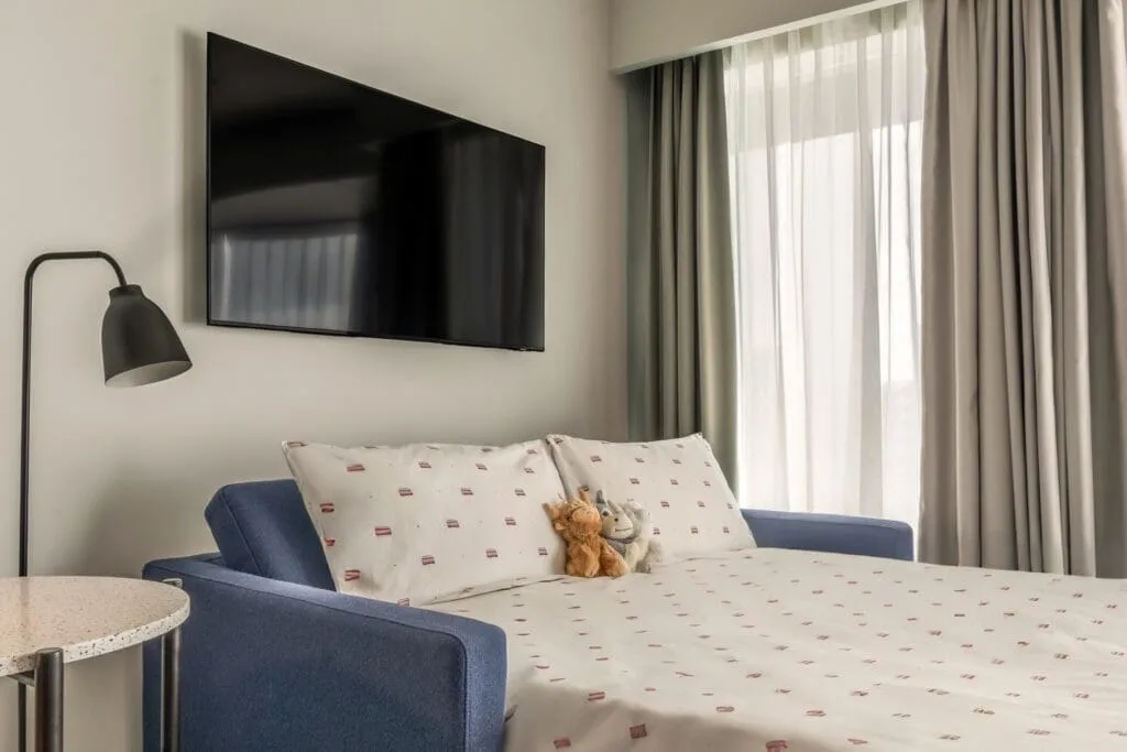 Guest room with a sofa bed.